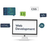 Web Development training
